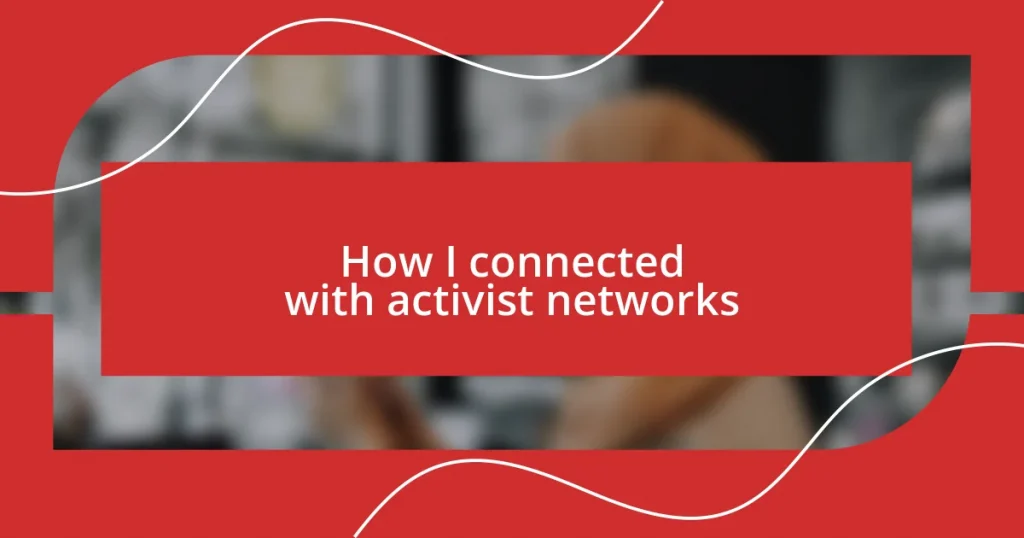 How I connected with activist networks