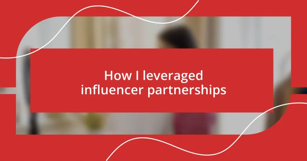 How I leveraged influencer partnerships