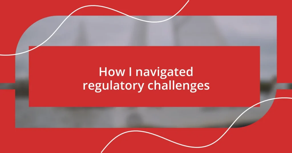 How I navigated regulatory challenges